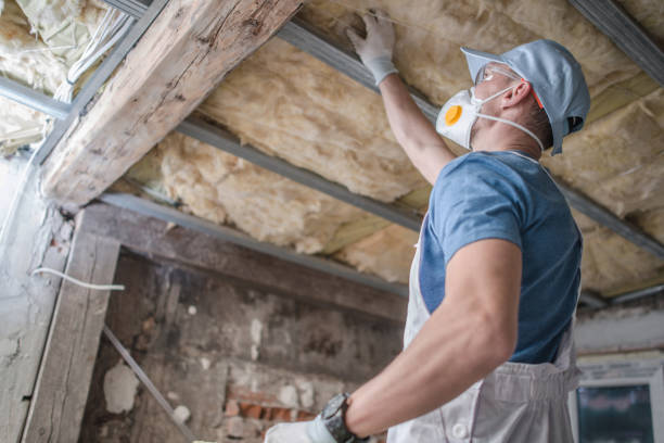 Best Insulation Installation Services in Auburn, ME